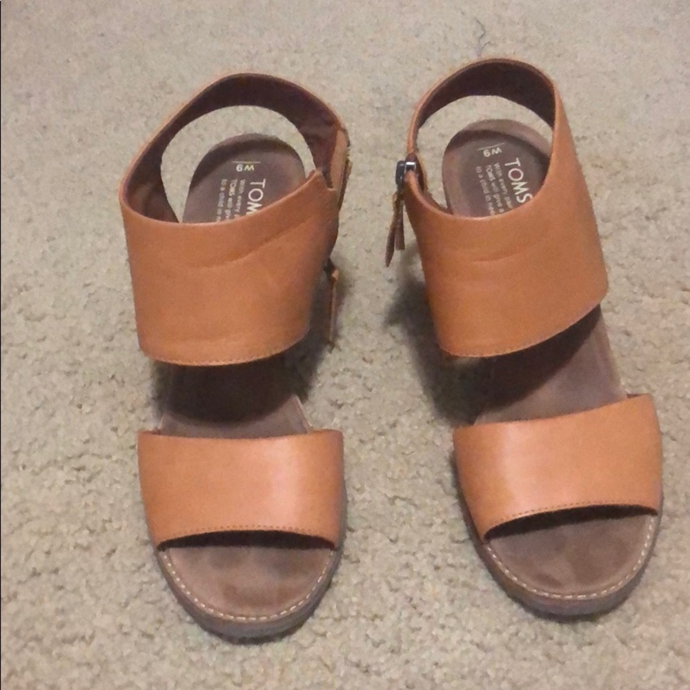 Toms majora